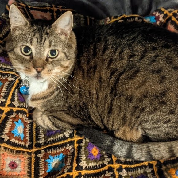 Meet your Posher, Diana - Picture 1 of 1